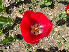 -长春公园(普阳街道)