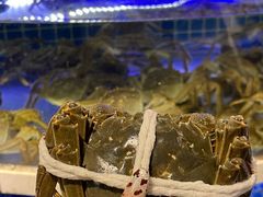 -黄记大闸蟹专卖店·活蟹·醉蟹