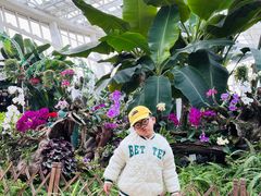 -石家庄市植物园