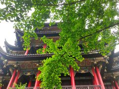 -仁虎老火锅(黄泥磅店)