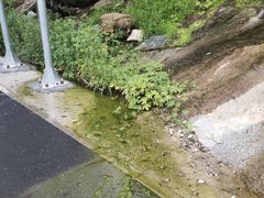 -白水寺森林公园