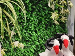 -食武士·舒芙蕾(新街口明瓦廊店)