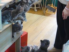 -觅时光手作·香薰·拼豆豆·陶艺DIY