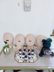 -海菲秀·飞顿牛奶光·LDM官方授权中心美轮美浣瓷感美肌