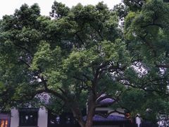 -杭州西湖柳莺里酒店