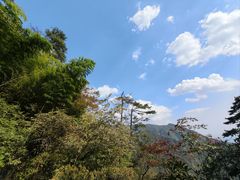 -东天目山风景区