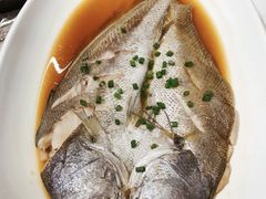 清蒸鮸鱼-华盛丰温州大排档(东三环南路店)