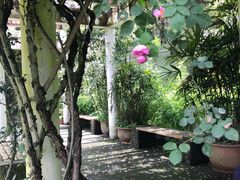 -南山植物园