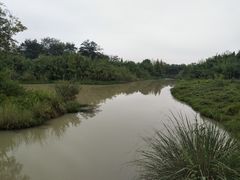 -中国扬子鳄村