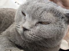 -平行世界·猫咖(首经贸店)