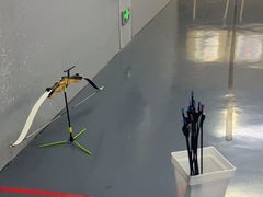 -蓝天射箭馆·专业射箭运动(诚丰广场店)