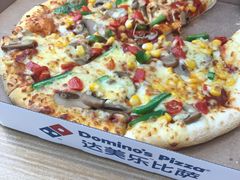 -达美乐比萨(双阳支路店)