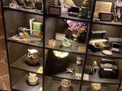 -雪灵魔法世界SHELLY’S TAROT(大良桂畔里店)
