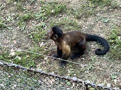 -大连森林动物园