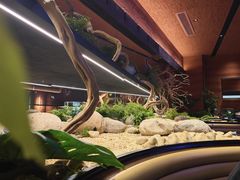 -巡湘记·地道湖南菜(活力城店)