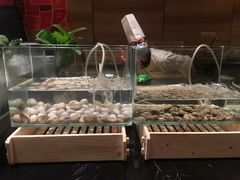 -东方广场假日酒店-蜀咖啡餐厅