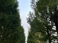 -嘉北郊野公园