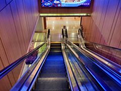 -山崎面包(百联世纪店)