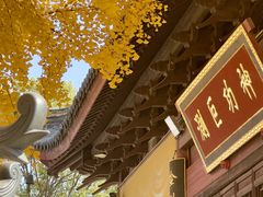 -上海青龙寺