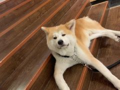 -YCHL Studios健身工作室(市二宫店)