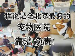 -美联众合动物医院·24h京西诊疗中心