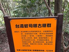 -普陀山慧济禅寺