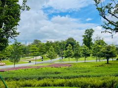 -东莞植物园