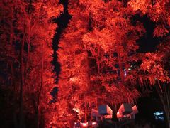 -文华公园(禅城区)