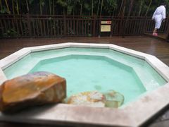 -天目湖涵田半山温泉