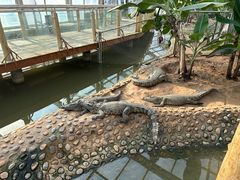 -石家庄市动物园