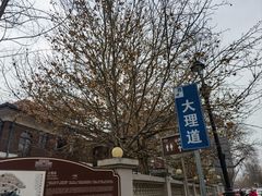 -天津五大道文化旅游区