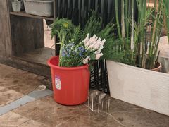 -懒人盐府人家(航天桥店)