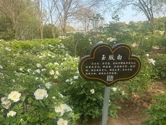 -洛阳市隋唐城遗址植物园