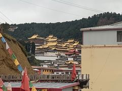 -四川郎木寺镇
