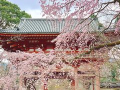 -醍醐寺