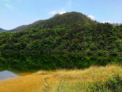 -广州市石门国家森林公园