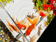 -三越百货(三越银座店)