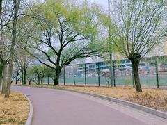 -方庄体育公园