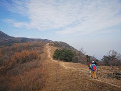 -北京鹫峰国家森林公园