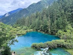 -乡土特色.冷锅鱼.牦牛肉汤锅