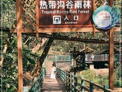 -西双版纳原始森林公园