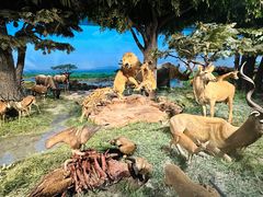 -国家自然博物馆