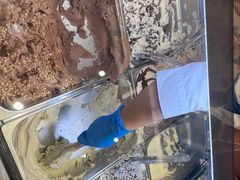 -VENCHI 闻绮(上海佛罗伦萨小镇店)