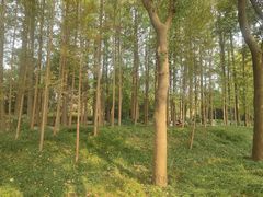 -温江公园