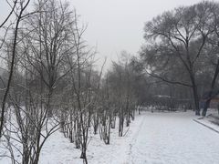 -黛秀湖公园