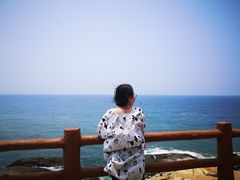 -放鸡岛生态旅游国际度假区