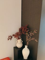 -CRAIE可瑞医美式医美·111SKIN