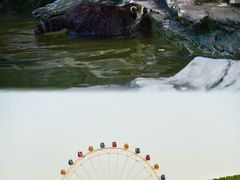 -上海野生动物园