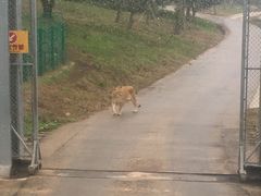 -西安秦岭野生动物园