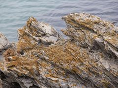 -大连金石滩滨海国家地质公园